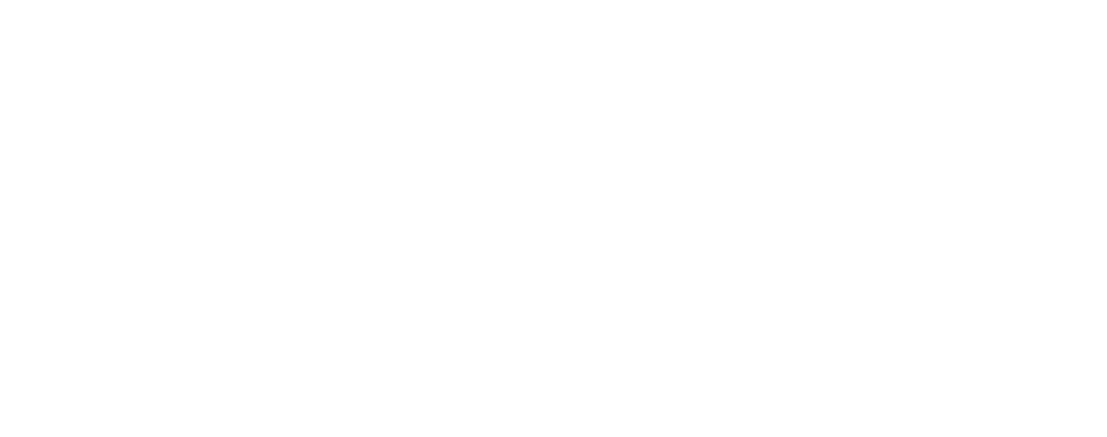 Expense Brain logo